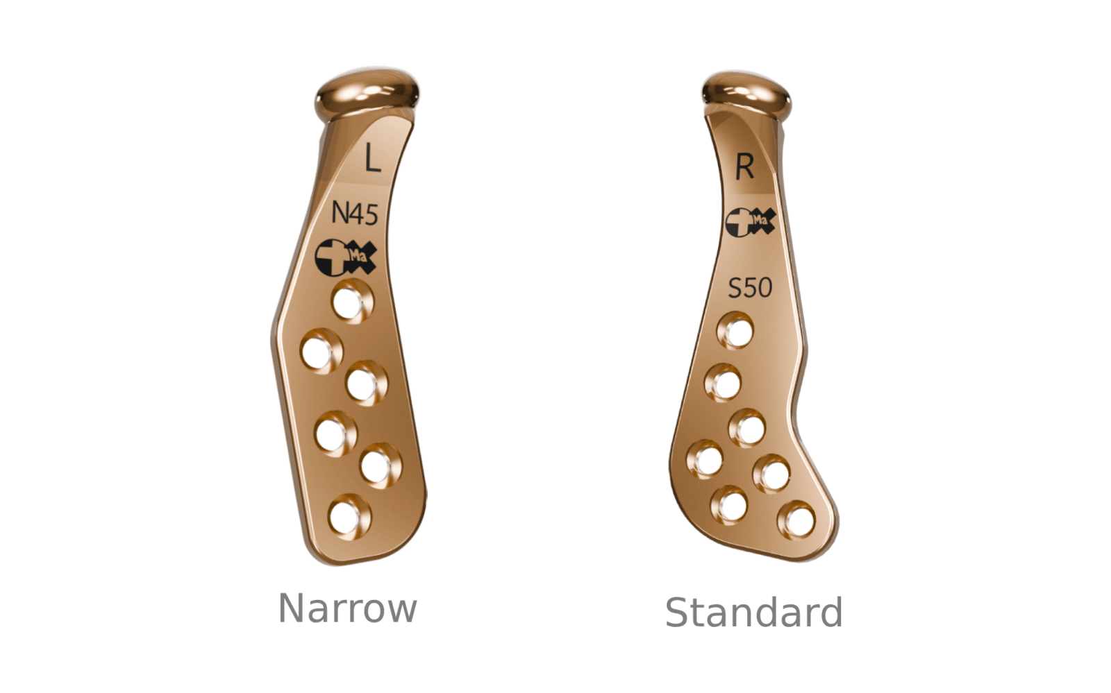 TMJ Prosthesis