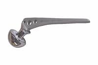 Hip-Prosthesis.jpg Hip-Prosthesis.jpg