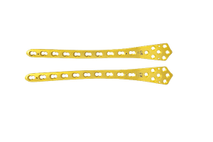 Untitled - September 09, 2026 at 11.35.46-6-Distal Femur Locking Plates - 5mm