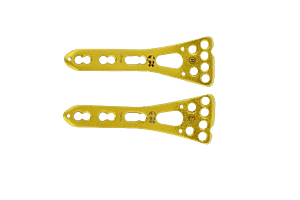 Two Column Distal Radius Lock Plates