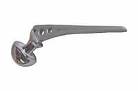 Hip-Prosthesis.jpg Hip-Prosthesis.jpg